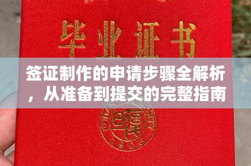 广阳签证制作的申请步骤全解析，从准备到提交的完整指南