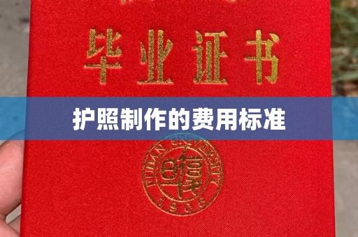 广阳护照制作的费用标准