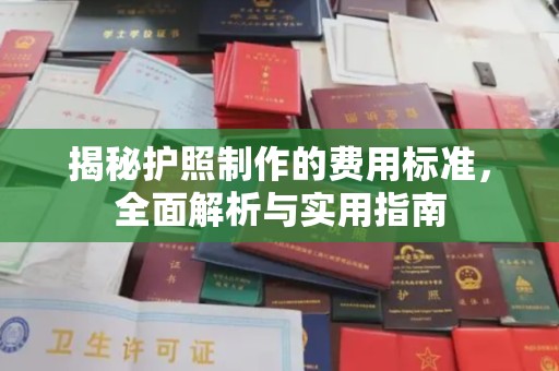 广阳揭秘护照制作的费用标准，全面解析与实用指南