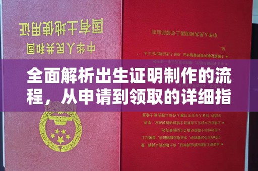广阳全面解析出生证明制作的流程，从申请到领取的详细指南
