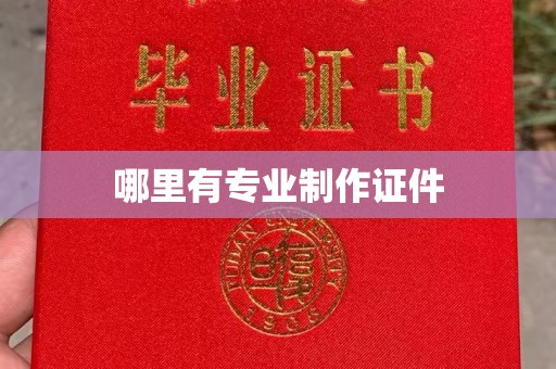 广阳哪里有专业制作证件