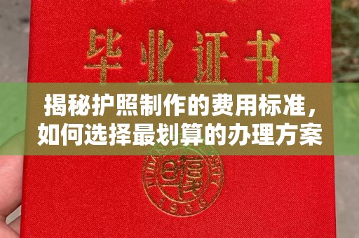 广阳揭秘护照制作的费用标准，如何选择最划算的办理方案？