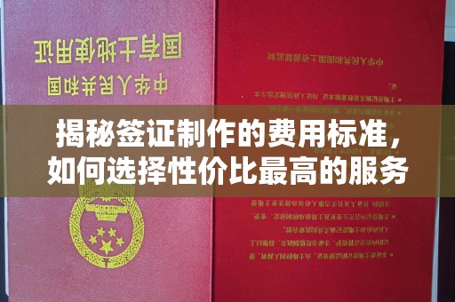 广阳揭秘签证制作的费用标准，如何选择性价比最高的服务？